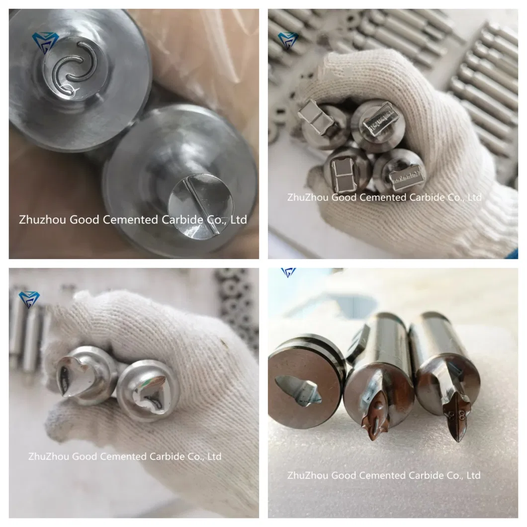 Tec Round Shape Zp Milk Tablet Mold 3D Punch Press Mold Candy Tablet Punch Die for Rotary Machine