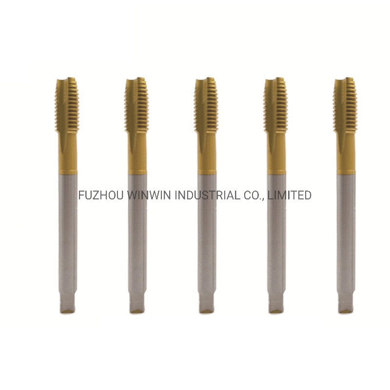 DIN371 DIN376 Machine Screw Threading Tap Spiral Point Tap (WW-ST02)