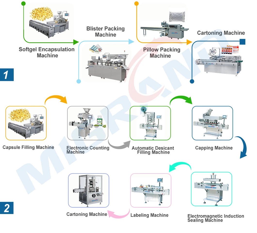 Four Sets of Free Rotary Die Rollers Softgel Encapsulation Machine