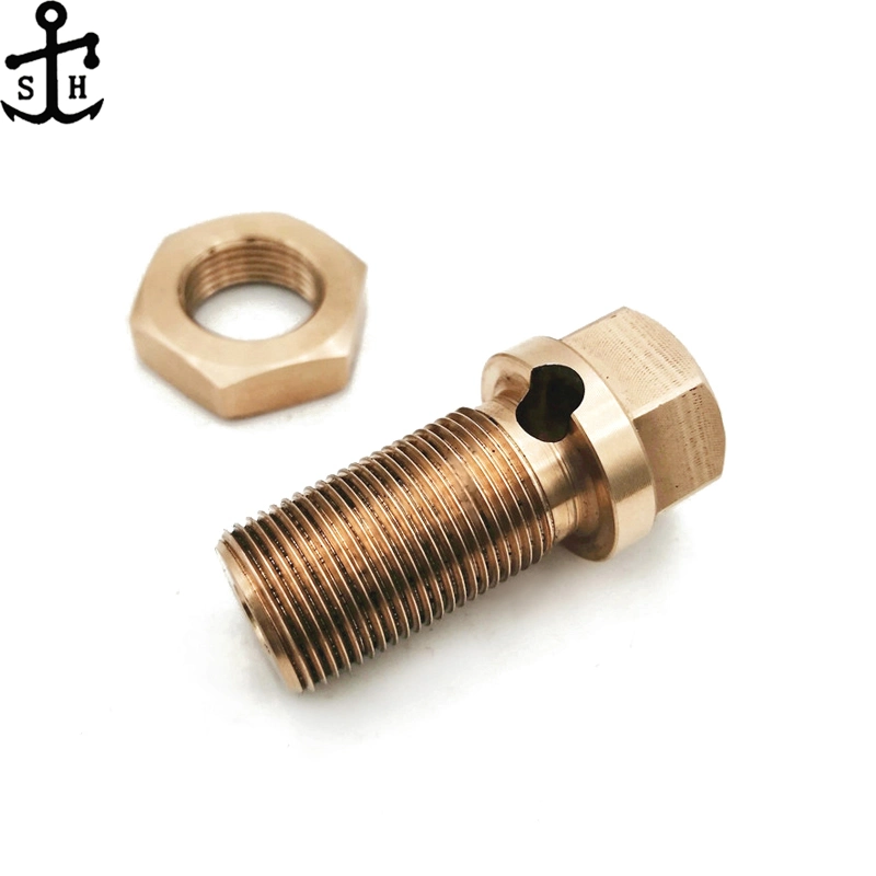 Custom Fastener Non Standard Special Style Bronze Hex Head Bolt and Nut Set Made in China