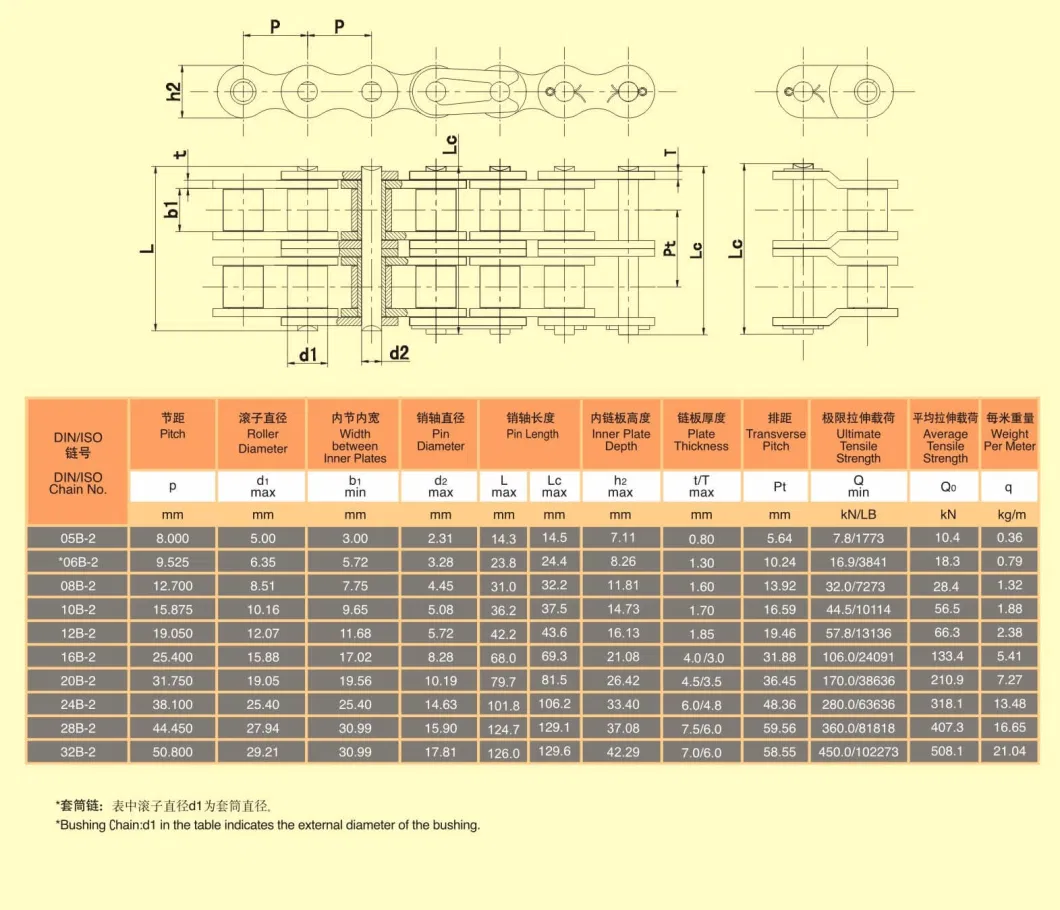 Conveyor Roller Chain Stainless Steel Professional China Factory Supply (ANSI, BS, DIN, JIS Standard)