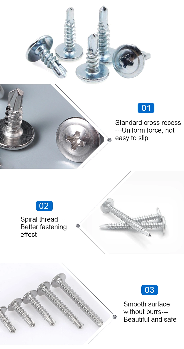 Large Flat Head Micro Mini Stainless Steel Satin Brushed Screw