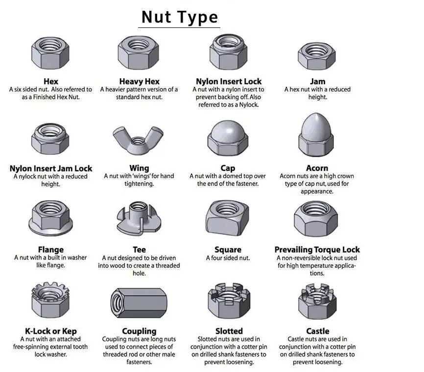 OEM Customized and Standard Size A2 A4 M12 M16 M8 M64 M32 SS304 SS316 Stainless Steel Hexagon / Hex Nut DIN934