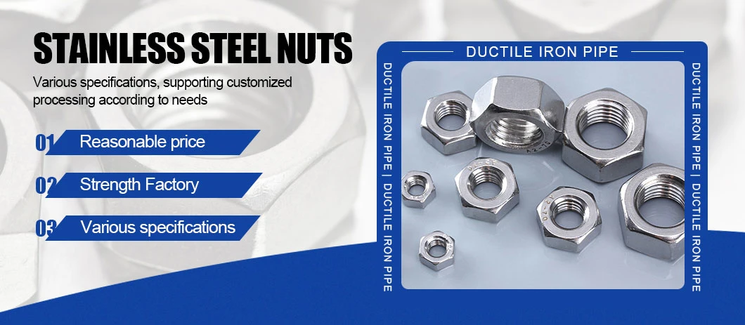 China Suppliers Manufacturing Price Size Galvanize Grade 8.8 Hex Bolt Nut Set Stainless Steel Different Types of Bolts and Nuts