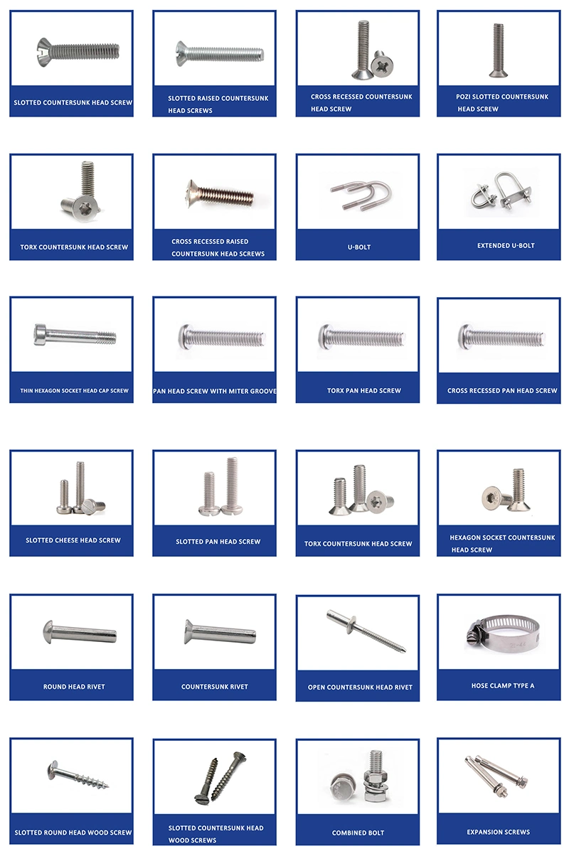 DIN 529 Various Shapes of Shank Foundation Masonry Anchor Bolts