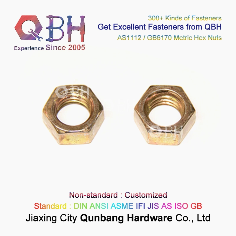 Qbh As1112 GB6170 Class 10 Zp Yzp HDG Black Metric Hex Nuts