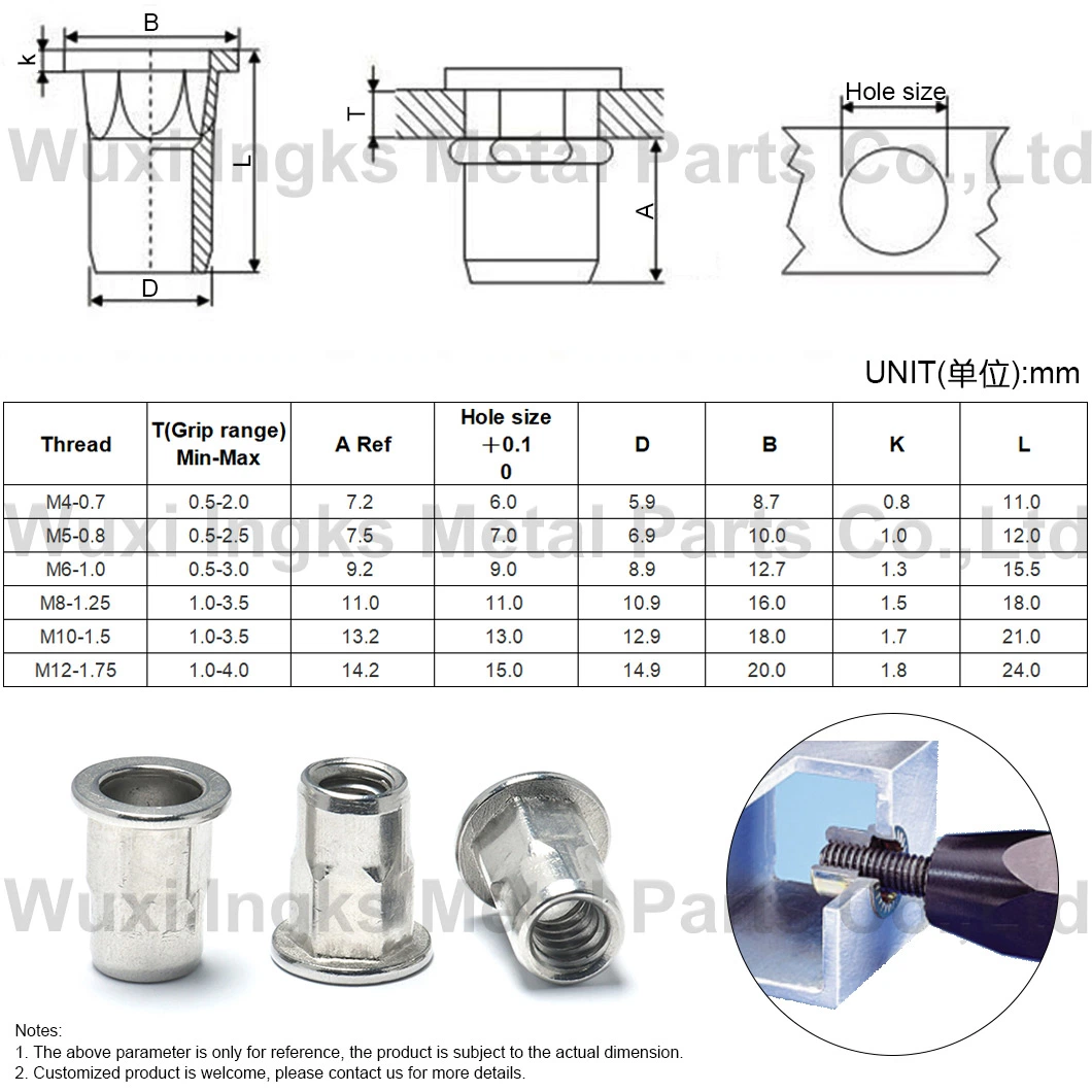 Metric Size Steel with Zinc Plated Flat Head Hex Rivet Nut