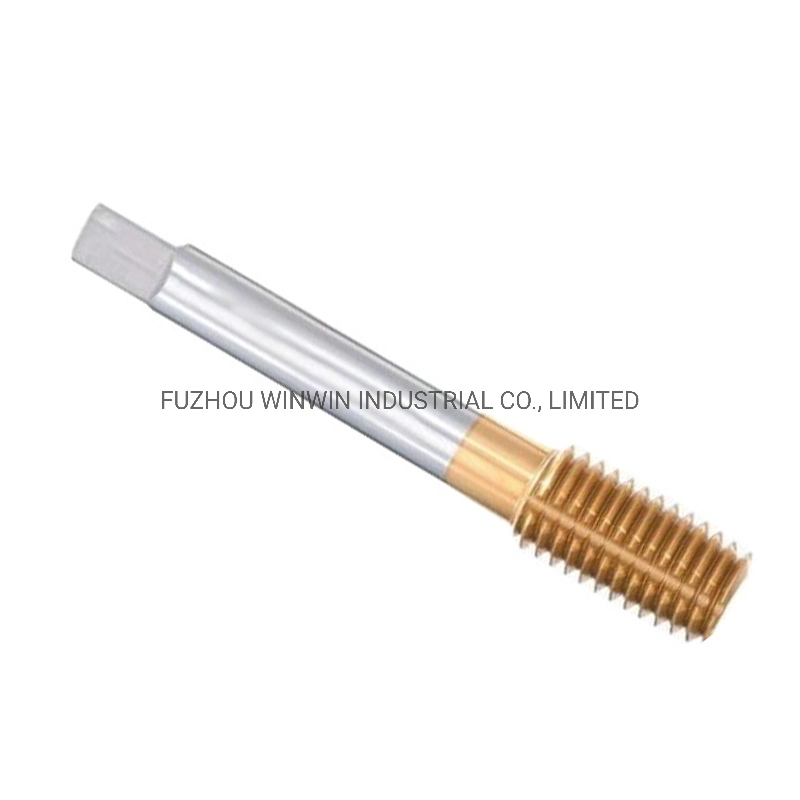 Hand HSS Machine Screw Tap Threading Tap (WW-ST01)