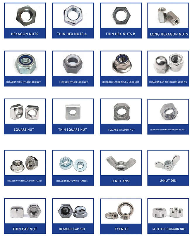 DIN 529 Various Shapes of Shank Foundation Masonry Anchor Bolts