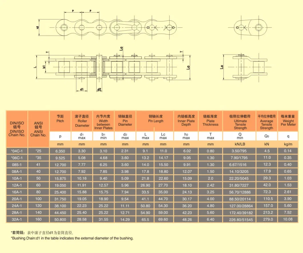 Conveyor Roller Chain Stainless Steel Professional China Factory Supply (ANSI, BS, DIN, JIS Standard)