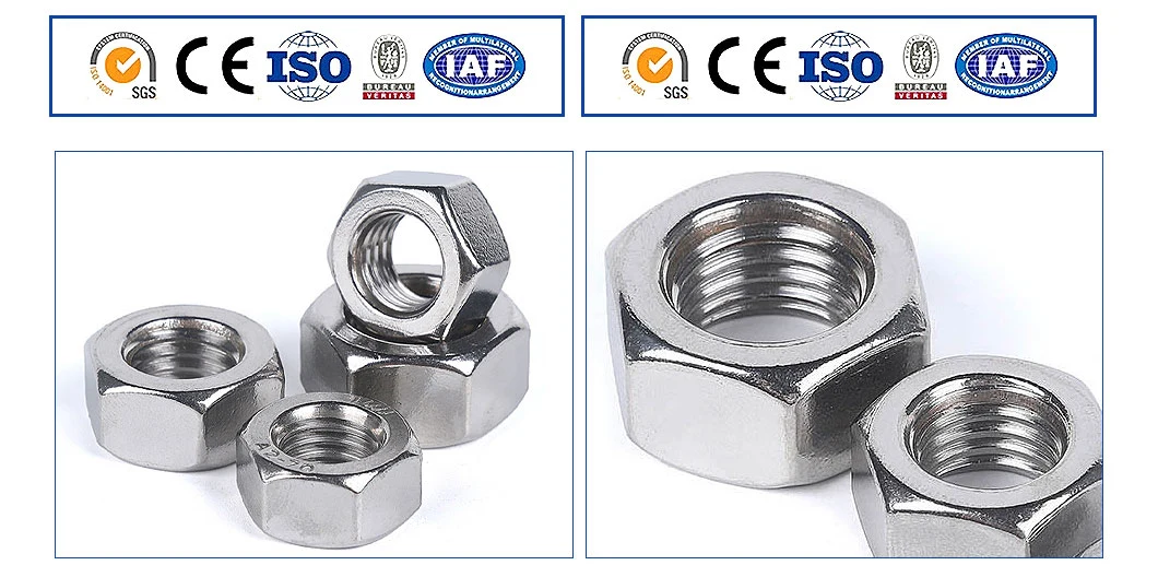 China Suppliers Manufacturing Price Size Galvanize Grade 8.8 Hex Bolt Nut Set Stainless Steel Different Types of Bolts and Nuts