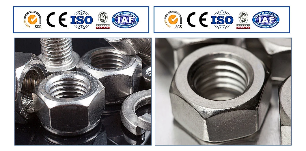 China Suppliers Manufacturing Price Size Galvanize Grade 8.8 Hex Bolt Nut Set Stainless Steel Different Types of Bolts and Nuts