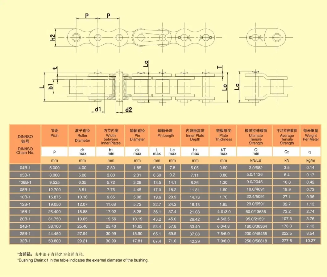 Conveyor Roller Chain Stainless Steel Professional China Factory Supply (ANSI, BS, DIN, JIS Standard)