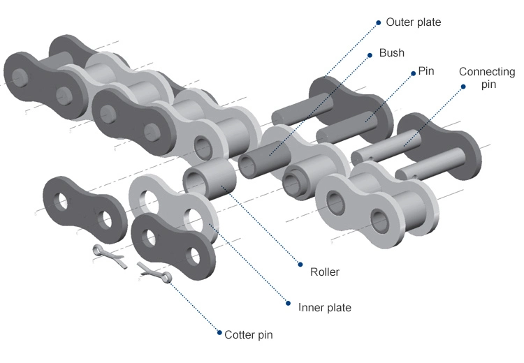 Professional Supply Stainless Steel Plain Transmission Equipment Parts Conveyor Roller Chain