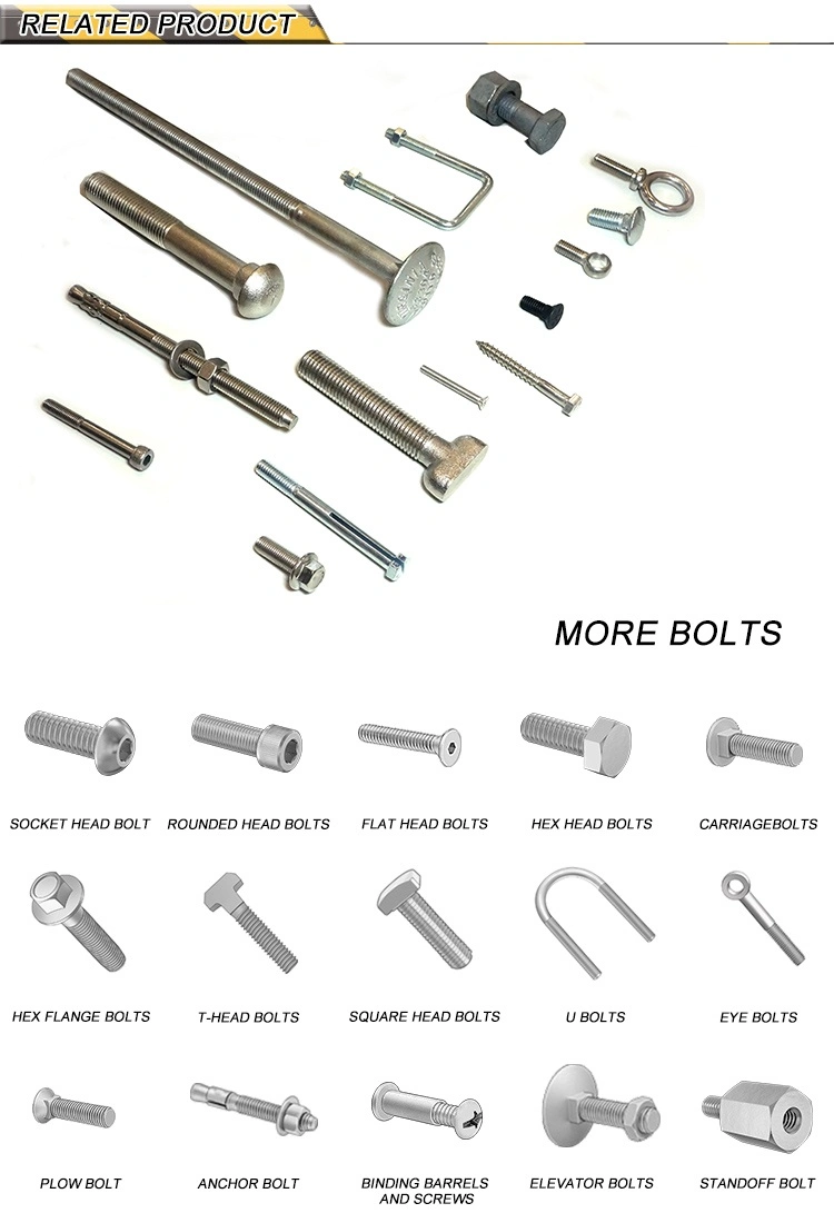 China Suppliers Fastener Manufacture Nice Price Hex Bolts and Nuts Set