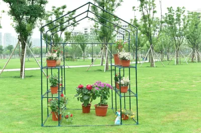 Walk in Greenhouse 155*140*200cm PVC