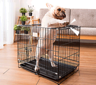 Wholesale Large Dog Cages, Hospital Folding Metal Pet Dog Crate