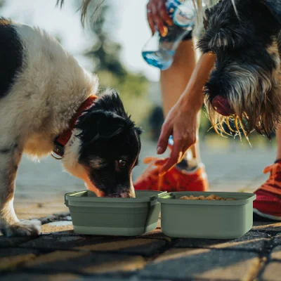 Manufacturer Wholesale Outdoor Portable Travel Foldable Dog Double Bowl Pet Food Bowl