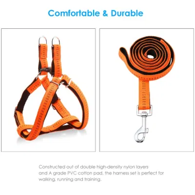 Anti-Twist Dog Leash Harness Perfect for Walking Running Training