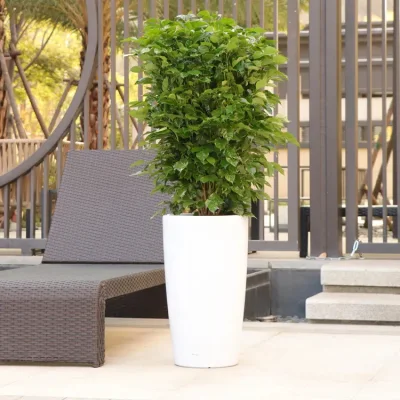 Modern Flower Pots for Indoor Plastic Plant Pot for Outdoor Decoration with Self-Watering Functions Garden Planter (HG-3301-ZS)