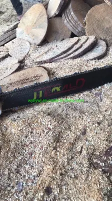 Famous High Quality Economy Alu. Start Gasoline Chain Saw Hy-58f 52cc/20&prime;&prime; Hot Seller Strong Power OEM Petrol Saw Cutting Wood/Tree Garden Tool