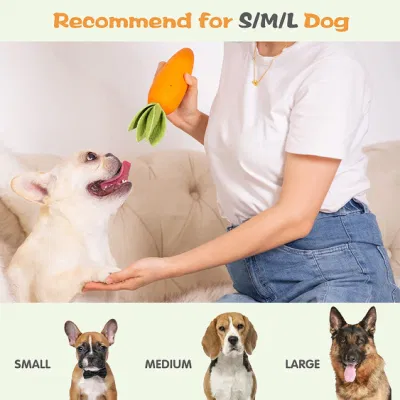 OEM/ODM Indestructible Rubber Squeaky Chew Pet Dog Toys with Tough Durable Teeth-Cleaning