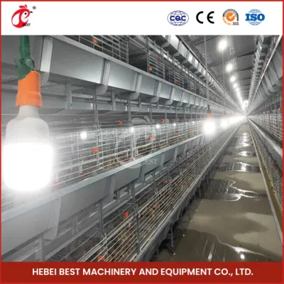 Bestchickencage China Outdoor Chicken Coops Suppliers H Frame Automatic Boriler Cages Free Sample Energy Save/Remote Control Chicken Coop Shed