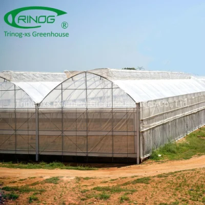  Modern multi-span high tunnel plastic film/ glass/ polycarbonate hydroponic greenhouse for agriculture