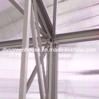 Outdoor Furniture Company Dongyisheng Making DIY Green House (RDGA0808-6mm)