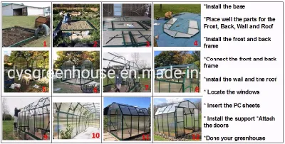 Outdoor Furniture Company Dongyisheng Making DIY Green House (RDGA0808-6mm)