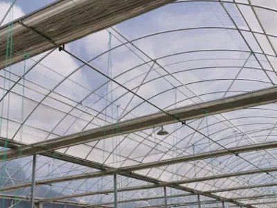 Portable Tomato Tunnel Greenhouse for Sale