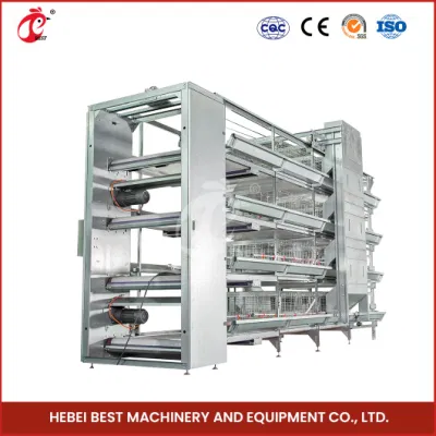 Bestchickencage China Outdoor Chicken Coops Suppliers H Frame Automatic Boriler Cages Free Sample Energy Save/Remote Control Chicken Coop Shed