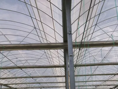  Portable Tomato Tunnel Greenhouse for Sale