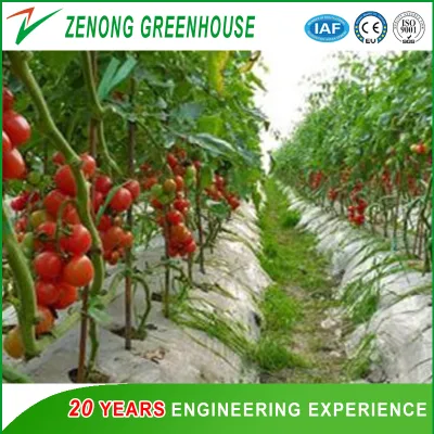  Greenhouse a-Frame Hydroponic System with Substrate for Vertical Farming for Strawberry/Leafy Vegetables