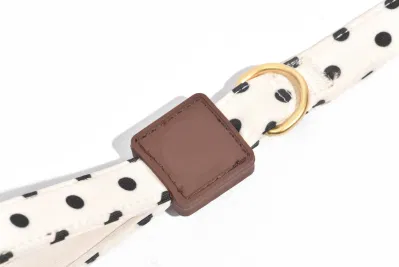 Voovpet Brand Polka Dots Dog Cat Leash Pet Harness Leash for Small Medium Large Dog OEM/ODM