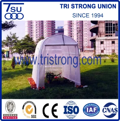  Garden Tool/Greenhouse/Garden Shed (TSU-162G)