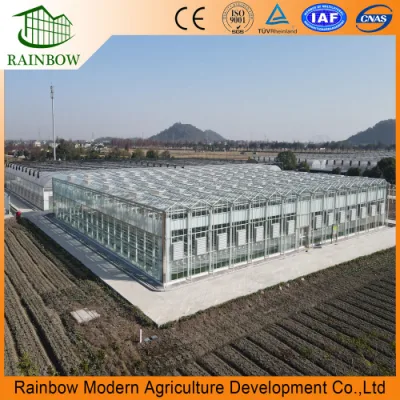  Venlo Hollow Double Tempered Glass Greenhouse with Hydroponics Growing System for Vegetables/ Flowers/ Tomato/ Farm/ Garden/ Eco Restaurant / Agriculture