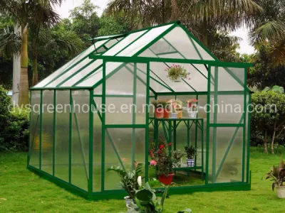 Outdoor Furniture Company Dongyisheng Making DIY Green House (RDGA0808-6mm)
