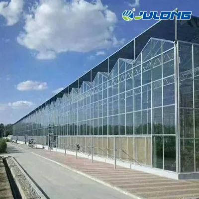  Intelligent Technology Venlo Type Tempered Glass Greenhouse for Hydroponic Indoor Garden Growing Vegetables