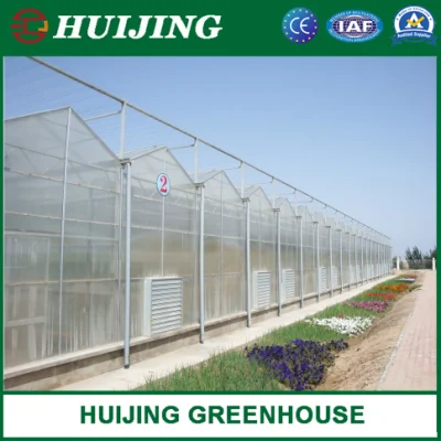  High Quality Venlo PC Greenhouse for Hydroponic Vegetables Planting