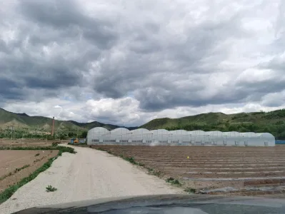 Portable Tomato Tunnel Greenhouse for Sale