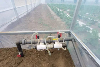 Portable Tomato Tunnel Greenhouse for Sale