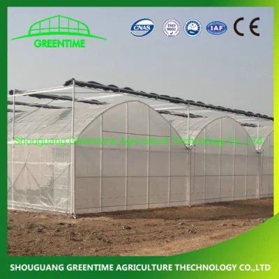  Cheap Multi-Span/Single Span Commercial Tunnel Plastic Film Glass Polycarbonate Farm Agriculture Greenhouse with Seedbed Hydroponic for Tomato Strawberry