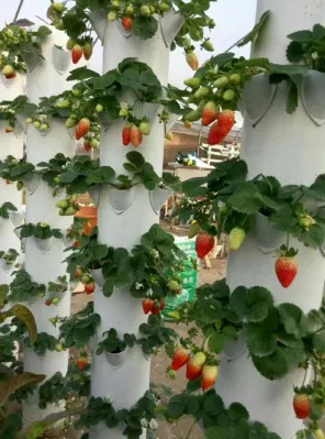  Small Vertical Indoor Hydroponic Systems Hydroponic Tower Garden
