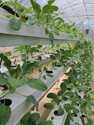  Garden Vertical Mini Hydroponic Grow Tower System