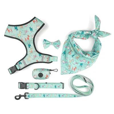 Petisland Pet Items Accessories Pet Supply Super Dog Clothes Waterproof Dog Harness Puppy Pet Dog PVC Harness Collar and Dog Leash