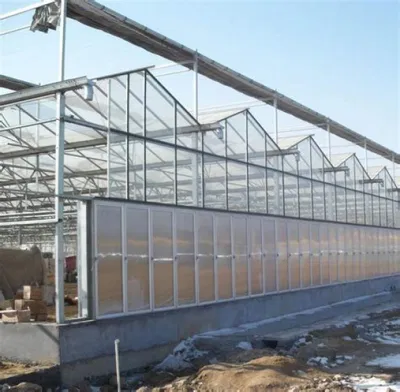  Best Selling Multi-Span Glass Greenhouse with Tomato Hydroponic Growing System