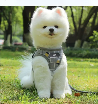 Nylon Mesh Kitten Pet Accessories Cat Harness Products Dog Leash