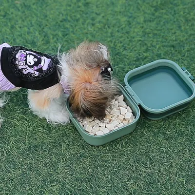 Manufacturer Wholesale Outdoor Portable Travel Foldable Dog Double Bowl Pet Food Bowl