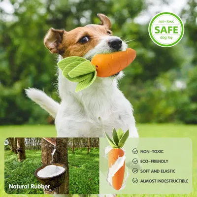 OEM/ODM Indestructible Rubber Squeaky Chew Pet Dog Toys with Tough Durable Teeth-Cleaning